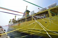 プロジェクトチーム3Play（三宅村ふれあい交流事業推進協議会）のプレスリリース画像3