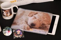 株式会社ニュートンのプレスリリース画像2