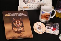 株式会社ニュートンのプレスリリース画像3