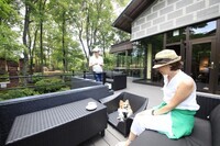 株式会社ニュートンのプレスリリース画像7