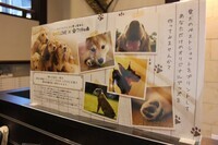 株式会社ニュートンのプレスリリース画像1