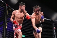 株式会社ニュートンのプレスリリース画像3