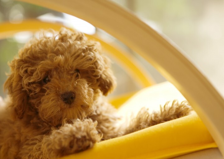 株式会社ニュートンのプレスリリース画像8