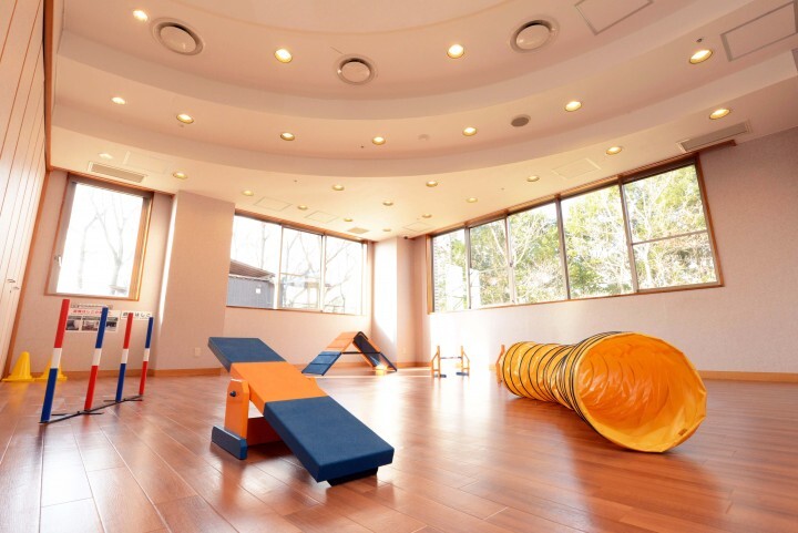 株式会社ニュートンのプレスリリース画像6