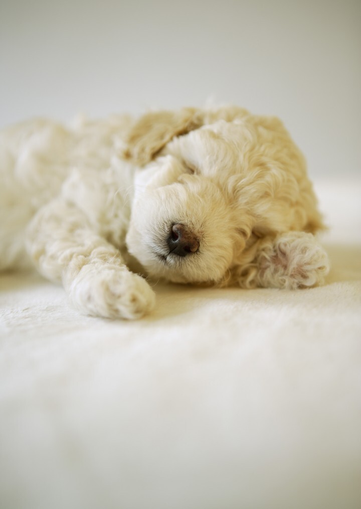 株式会社ニュートンのプレスリリース画像9