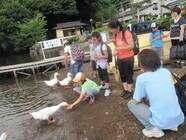 株式会社ニュートンのプレスリリース画像7