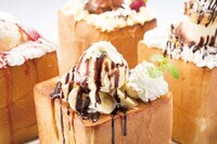 株式会社ニュートンのプレスリリース画像3