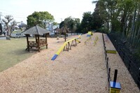 株式会社ニュートンのプレスリリース画像6