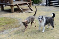 株式会社ニュートンのプレスリリース画像7