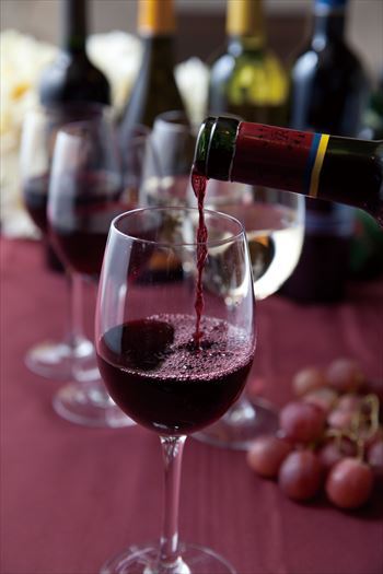 株式会社ニュートンのプレスリリース画像4