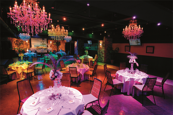 株式会社ニュートンのプレスリリース画像1