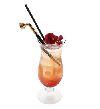 株式会社ニュートンのプレスリリース画像4