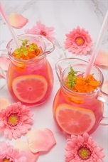 株式会社ニュートンのプレスリリース画像8