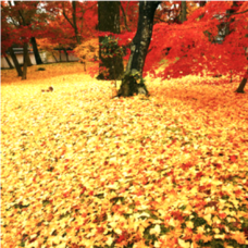 株式会社ニュートンのプレスリリース画像7