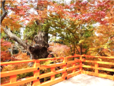 株式会社ニュートンのプレスリリース画像5