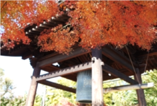 株式会社ニュートンのプレスリリース画像4