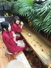 株式会社ニュートンのプレスリリース画像2