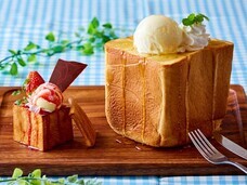 株式会社ニュートンのプレスリリース画像4