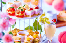 株式会社ニュートンのプレスリリース画像5