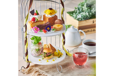 株式会社ニュートンのプレスリリース画像3