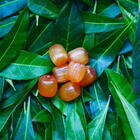 ココカラハッピーのプレスリリース