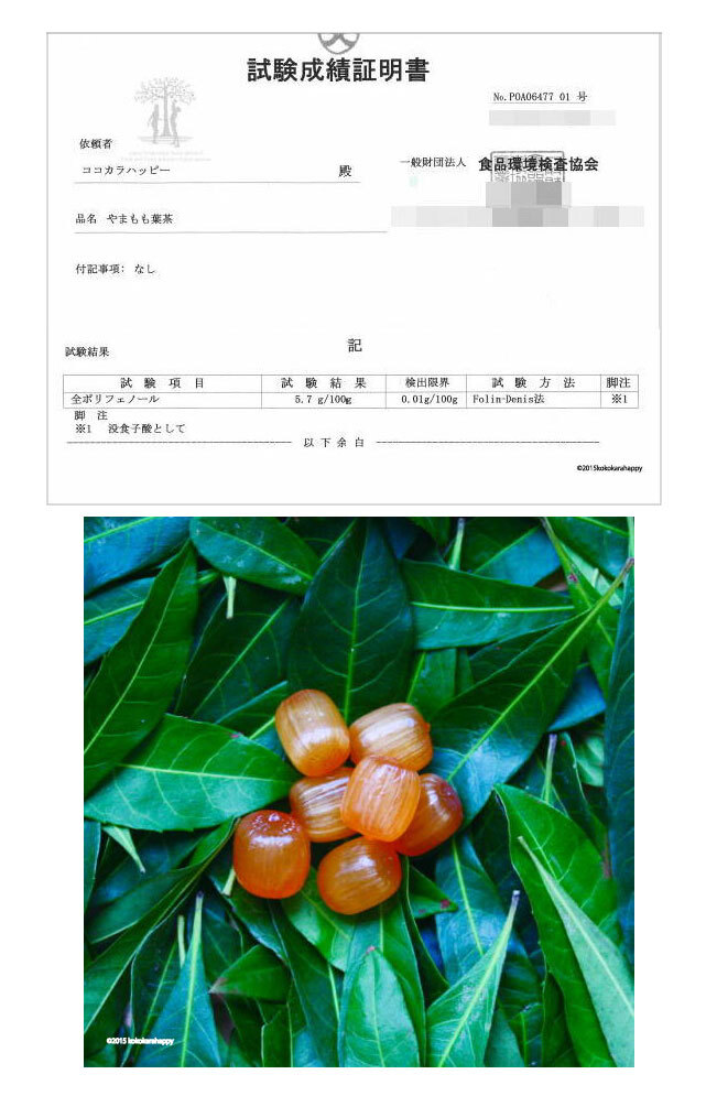 ココカラハッピーのプレスリリース画像1