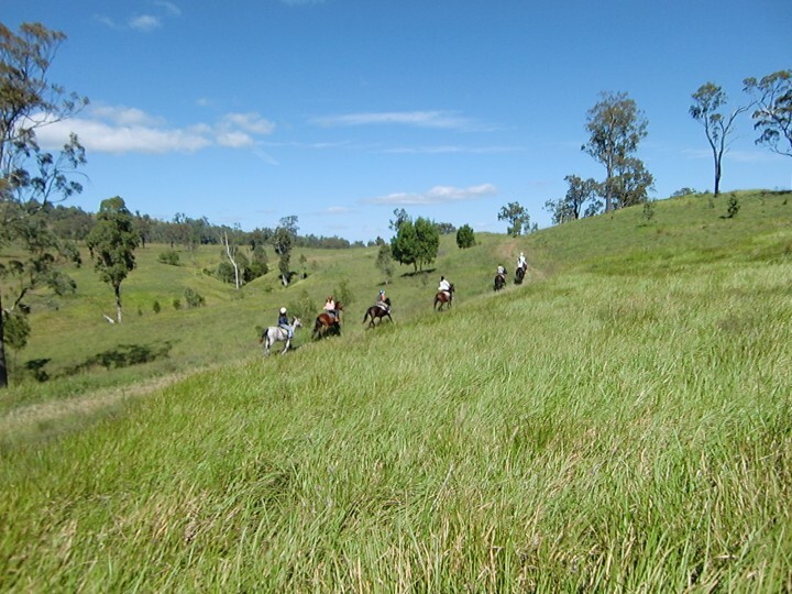 株式会社TELA企画のプレスリリース画像1