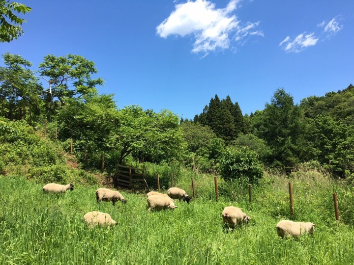 株式会社　三笠会館のプレスリリース画像2