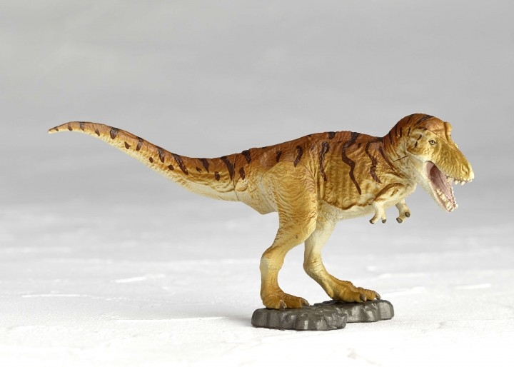 日本の夏 恐竜の夏 海洋堂 ミニチュアキューブ第2弾 ティラノサウルスvsトリケラトプス を8月25日新発売 株式会社海洋堂のプレスリリース