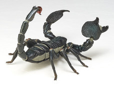 株式会社海洋堂のプレスリリース画像4