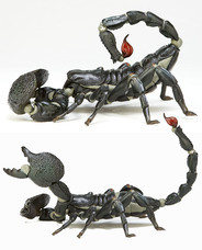 株式会社海洋堂のプレスリリース画像7