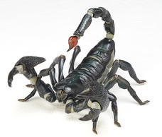 株式会社海洋堂のプレスリリース画像2