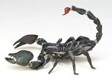 株式会社海洋堂のプレスリリース画像1