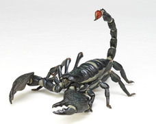 株式会社海洋堂のプレスリリース画像5