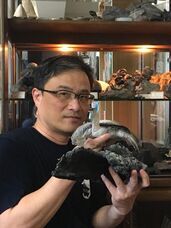 株式会社海洋堂のプレスリリース画像3