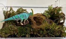 株式会社海洋堂のプレスリリース画像4