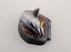 株式会社海洋堂のプレスリリース画像11