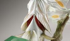 株式会社海洋堂のプレスリリース画像15