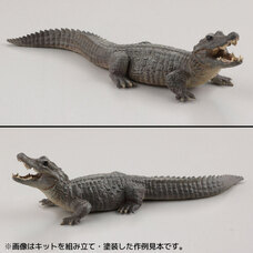 株式会社海洋堂のプレスリリース画像9