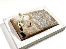 株式会社海洋堂のプレスリリース画像6