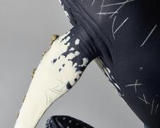 株式会社海洋堂のプレスリリース画像10