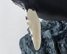 株式会社海洋堂のプレスリリース画像11