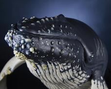 株式会社海洋堂のプレスリリース画像18