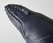 株式会社海洋堂のプレスリリース画像9