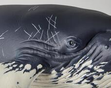 株式会社海洋堂のプレスリリース画像5