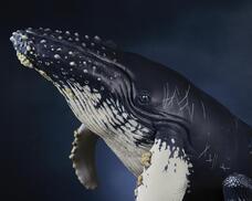 株式会社海洋堂のプレスリリース画像13