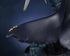 株式会社海洋堂のプレスリリース画像17