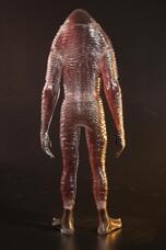 株式会社海洋堂のプレスリリース画像9