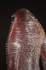 株式会社海洋堂のプレスリリース画像10