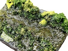 株式会社海洋堂のプレスリリース画像9